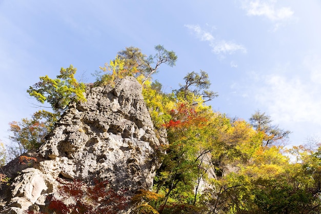 Naruko Gorge Autumn leaves in the fall season