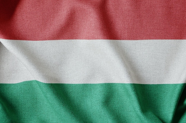 National flag of Hungary flutters in the wind Wavy Israeli Flag Closeup front view