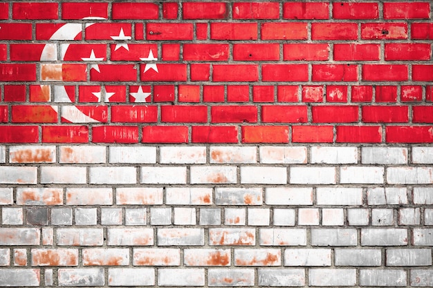 National flag of the Singapore on a grunge brick background