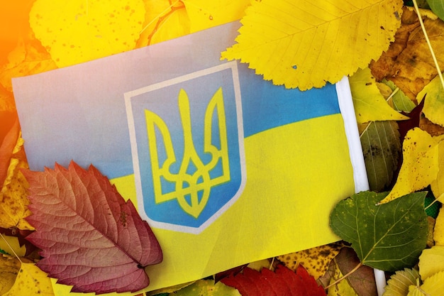 The national flag of ukraine against the background of autumn foliage The onset of autumn in Ukraine