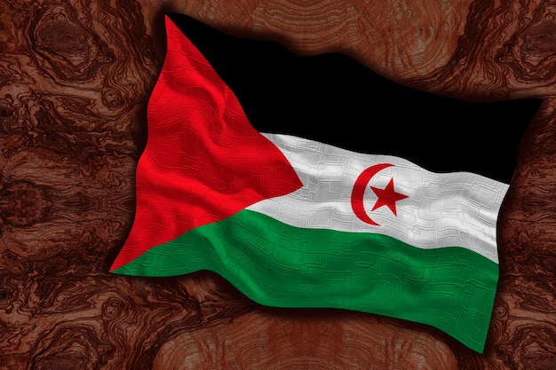 National flag of Western Sahara Background with flag of Western Sahara