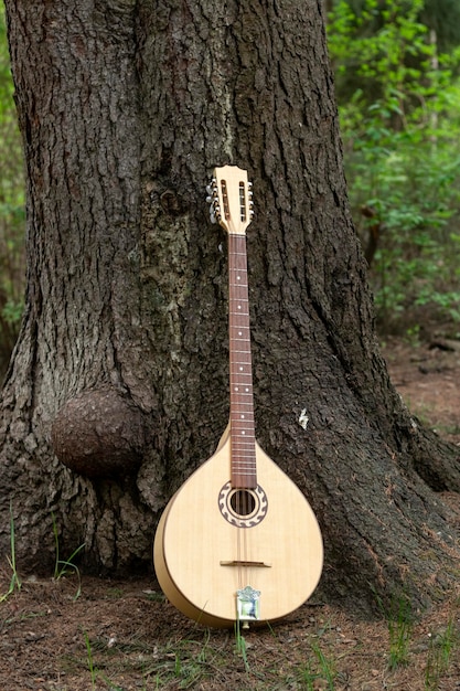 The national Greek stringplucked musical instrument Bouzouki was leaned against a tree