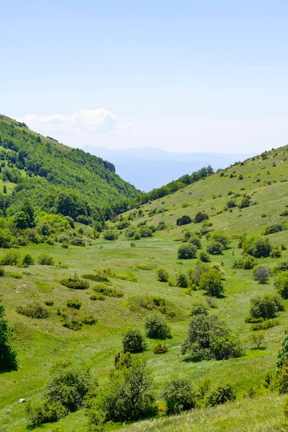 National park Galicica in macedonia