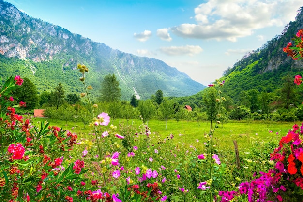 National park Montenegro