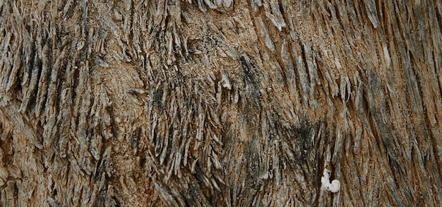 natual textued wooden surface