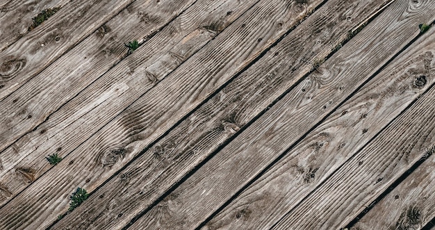 natual textured wooden surface