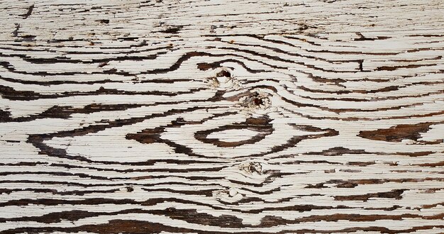 natual textured wooden surface