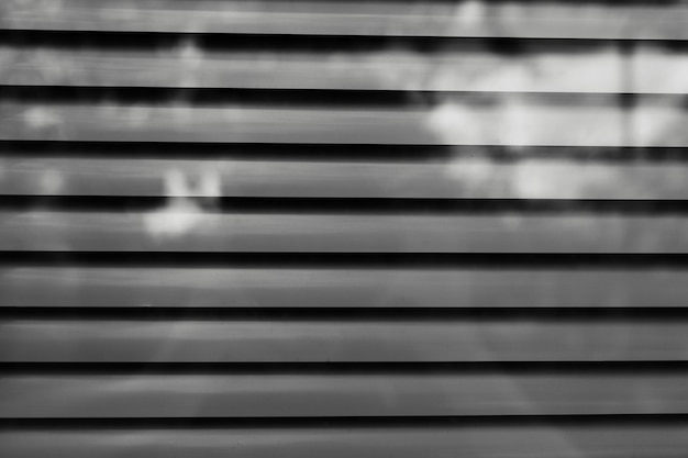 Natural abstract textured background of lines Black and white photo