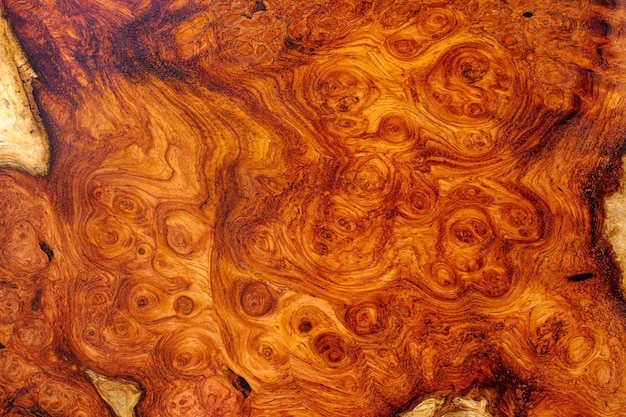 Natural Afzelia burl wood striped is a wooden beautiful pattern for background