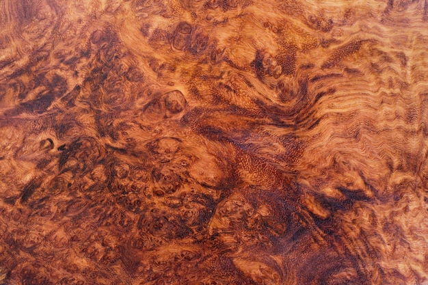 Natural Afzelia burl wood striped is a wooden beautiful pattern for background