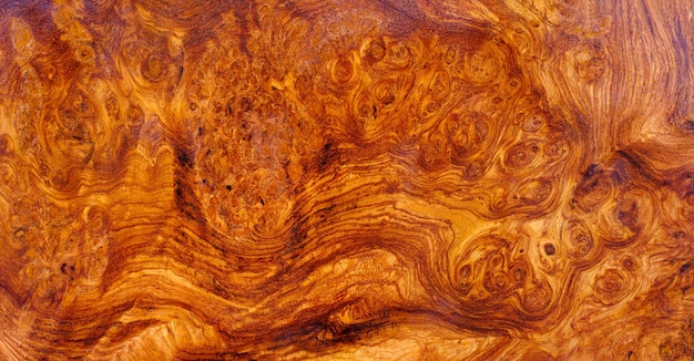 Natural Afzelia burl wood striped is a wooden beautiful pattern for background