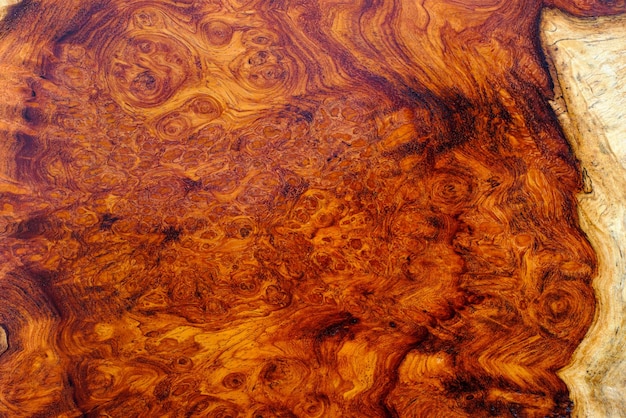 Natural Afzelia burl wood striped is a wooden beautiful pattern for background