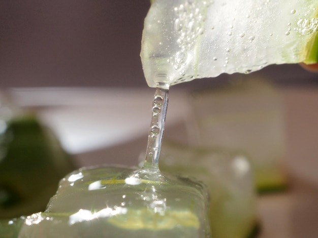 Natural aloe vera gel obtained from the leaves of the plant