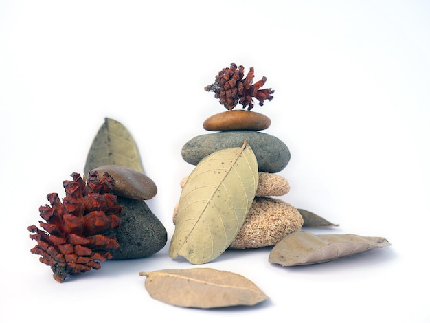 Natural autumn composition with leaves pebbles and pine cones