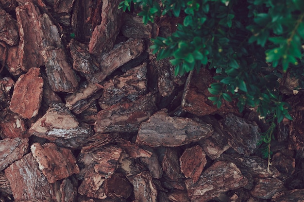 Natural background from brown pieces of wood chips from pine bark