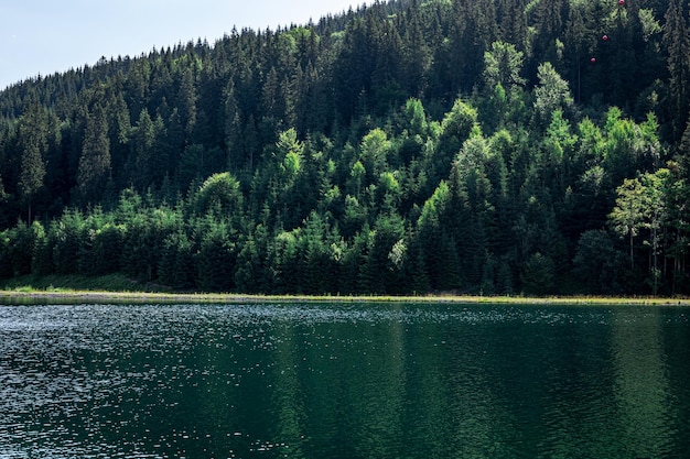 Natural background lake in the forest highlands