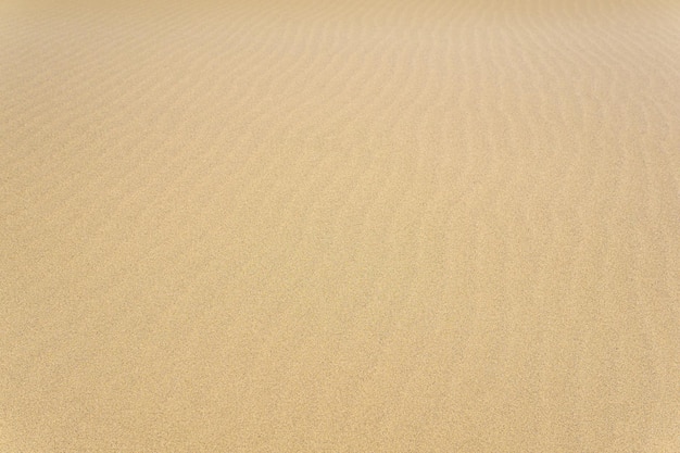 Natural background sandy desert surface with wind ripples