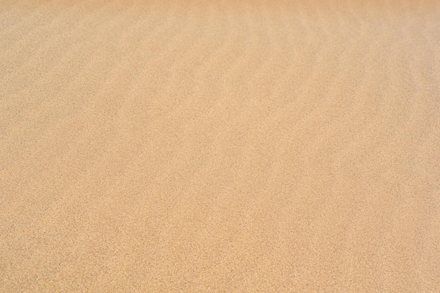 Natural background sandy desert surface with wind ripples