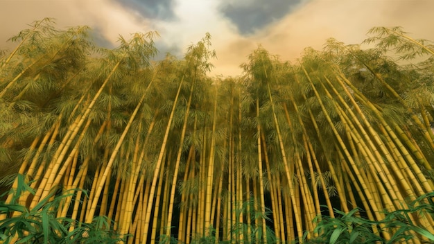 Natural bamboo background with rich warm tones