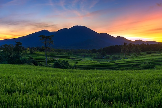 The natural beauty of Indonesia's panorama with mountains and sunrise over green rice fields with beautiful terraces