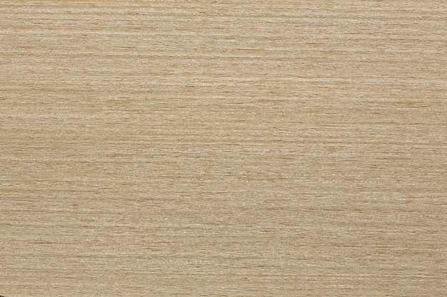 Natural beige oak veneer texture for your image