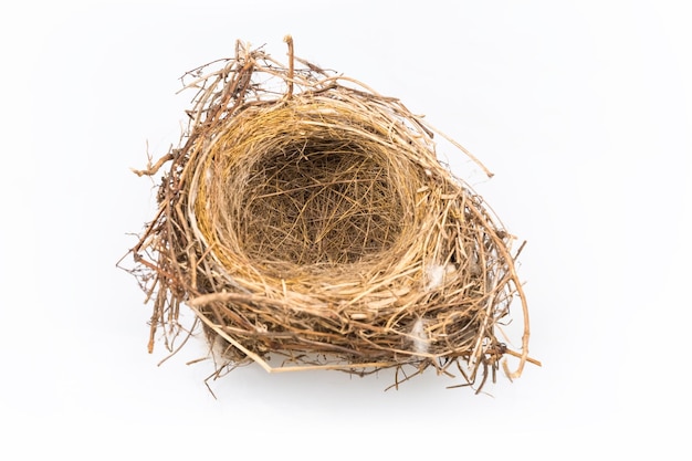 Natural bird nest isolated on white background