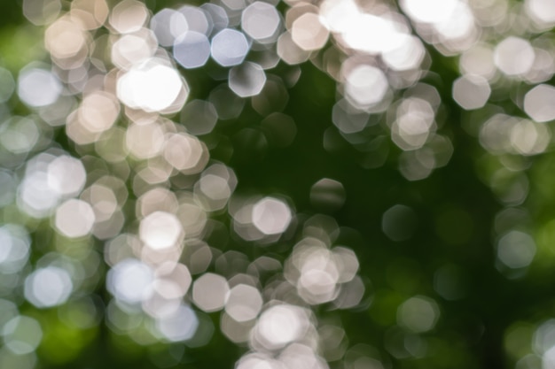 Natural bokeh background with leaves, trees and sky.