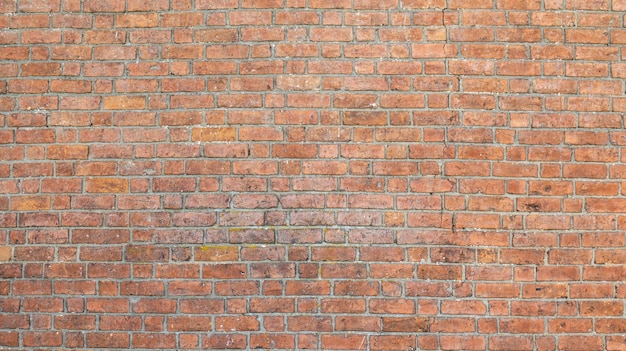 Natural brick wall brick texture