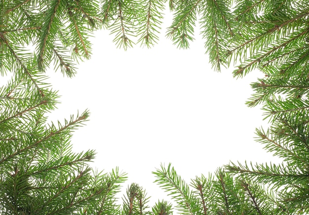 Natural Christmas frame made of fresh green fir branches on white Copy space Top view Mock up