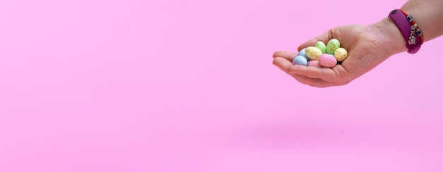 Natural colored quail eggs in a female hand on a pink background Banner Close up