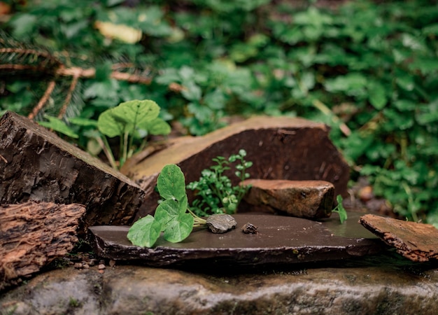 Natural composition made of stones, logs and grass