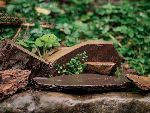 Natural composition made of stones, logs and grass