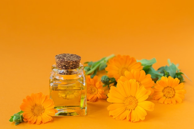 Natural Cosmetic oil with calendula flowers on orange