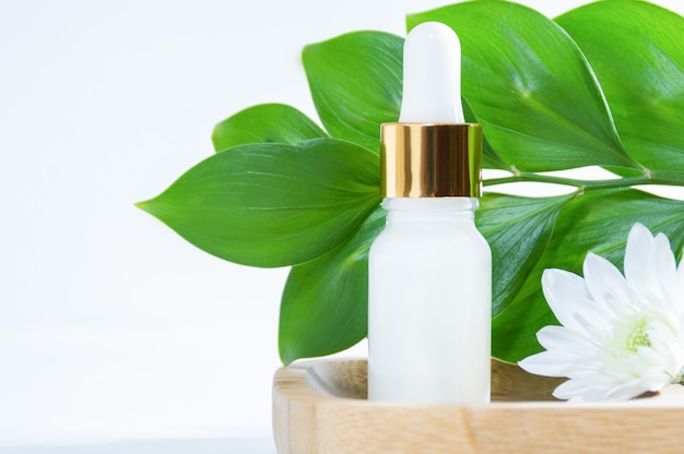 Natural cosmetics: serum with dropper, white flower and green leaves 