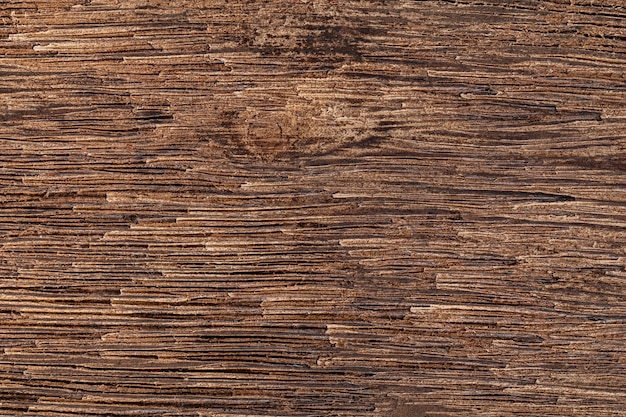 Natural dark wooden bark of tree texture background