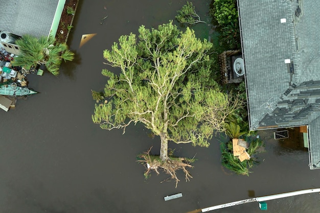 Natural disaster and its consequences Hurricane Ian flooded house and fallen tree in Florida residential area