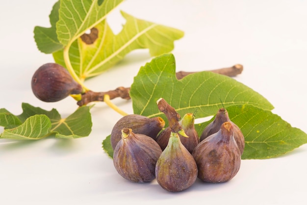 Natural Figs with tree white background