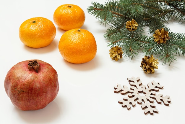 Natural fir tree branches with fruits on white background