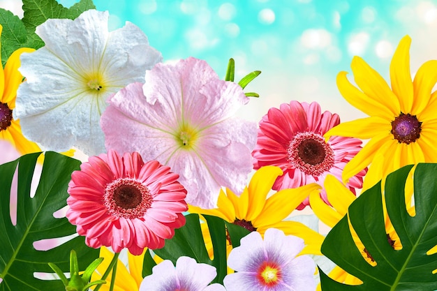 Natural floral background Bright and colorful flowers