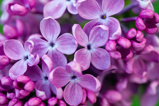 Natural flowers.