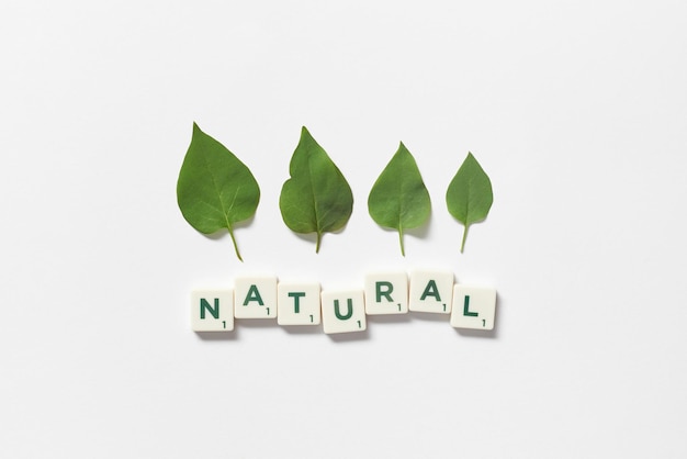 Natural formed of scrabble tiles with tree leaves