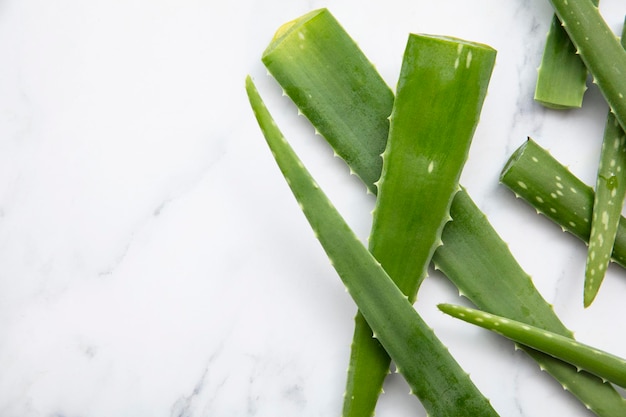 Natural green aloe vera stem health and well being background