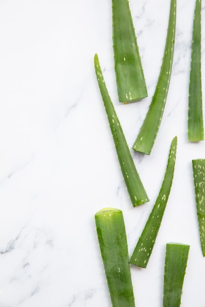 Natural green aloe vera stem health and well being background