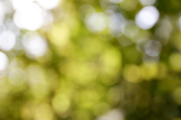 Natural green blured autumn leaves background with bokeh