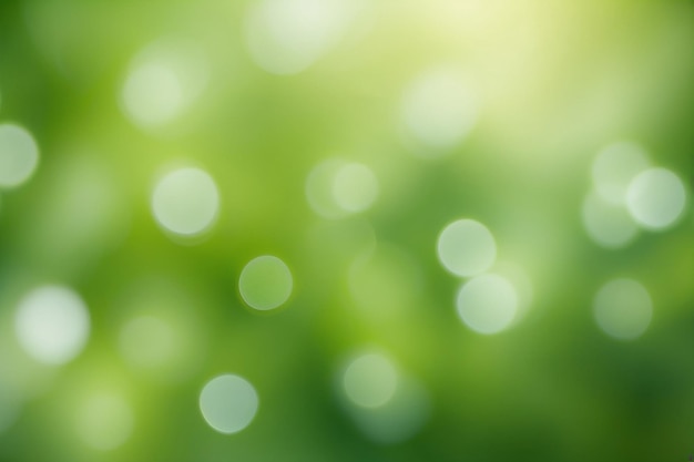 Natural green blurred background Defocused green abstract background