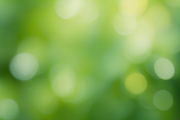 Natural green blurred background Defocused green abstract background