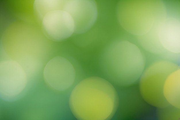 Natural green blurred background Defocused green abstract background