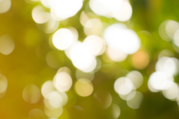 Natural green blurred background. Defocused green blurred background.