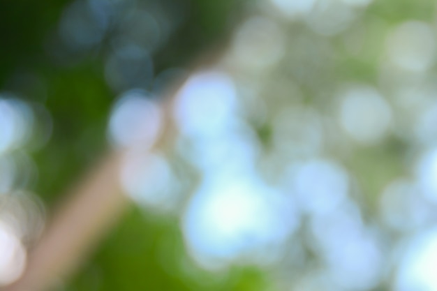 Photo natural green blurred background