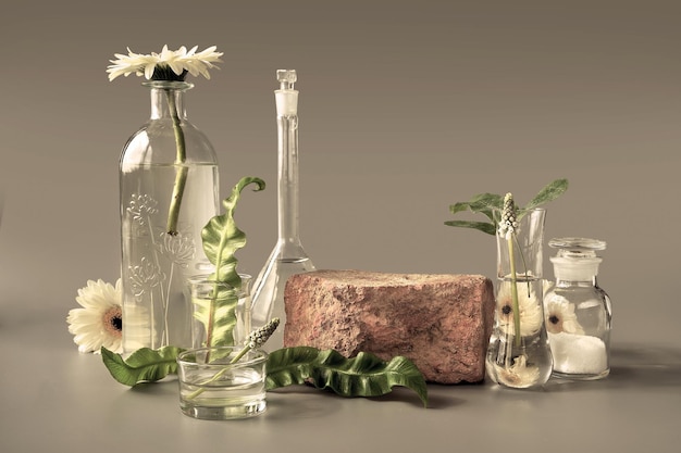 Natural Green laboratory Brick podium space for product Abstract floral arrangement Reflections of leaves distorted in water Exotic green leaves in transparent glass vials jars Petri dishes